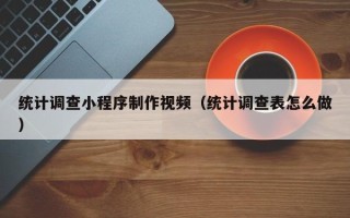三亚统计调查小程序制作视频（统计调查表怎么做）