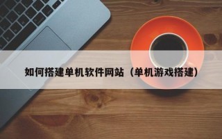 三亚如何搭建单机软件网站（单机游戏搭建）