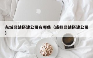 三亚东城网站搭建公司有哪些（成都网站搭建公司）